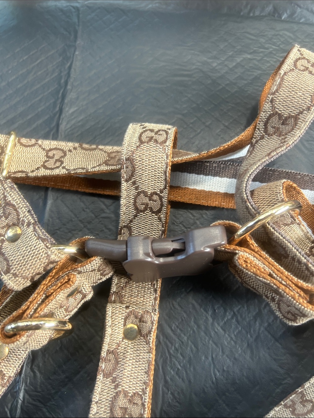 Designer-Inspired Dog Harness and Leash Set. Brand new. Size medium adjustable. - Picture 4 of 5